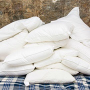 Jump off the Ledge at the Front of My House Into Pillows