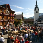 Schwarzenberg, Bregenzerwald