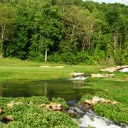 Homestead Resort (Cascades) US