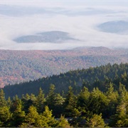 Winslow State Park, New Hampshire
