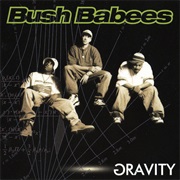 Bush Babees - Gravity
