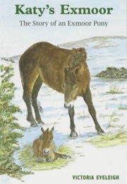 Katy's Exmoor (Victoria Eveleigh)