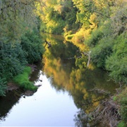 Sarah Helmick State Recreation Site, Oregon