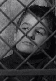 The 400 Blows (1959, François Truffaut)