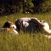 Fall Asleep on Grassy Plains