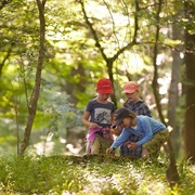 Ranger Game: Let Someone Hide Animal Figures Outside - Try to Find Them