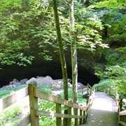 Maquoketa Caves State Park, Iowa