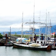 Hershel Island Whaling History, YK