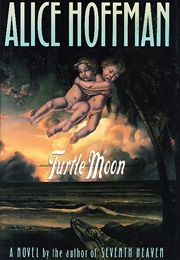 Turtle Moon (Alice Hoffman)