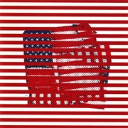 Tortoise – Standards