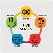 Lose One or More of Your Senses