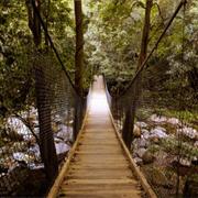 Timbarra National Park (NSW)