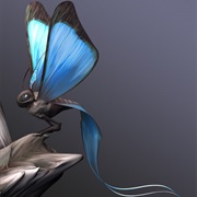 Butterfly (Star Wars)