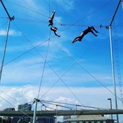 Go on the Flying Trapeze