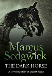 The Dark Horse (Marcus Sedgwick)