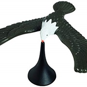 The Store Where They Sold These Things