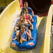 Buy a Ride Photo From an Amusement Park