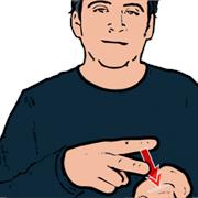 The Word - Vegetable