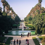 Jardin D'essai Du Hamma