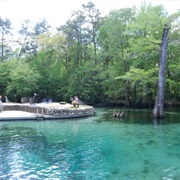 Ponce De Leon Springs State Park, Florida
