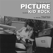 Picture - Kid Rock &amp; Sheryl Crow