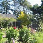 Hollyhock, Cortez Island, BC