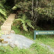 HIHIKIWI TRACK