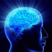 Memory Loss (Amnesia)