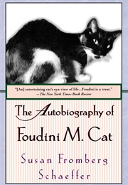 The Autobiography of Foudini M. Cat (Susan Fromberg Schaeffer)