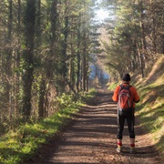 Walking Tour of Europe