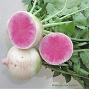 Beauty Heart Radish