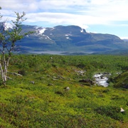 Stora Sjöfallet National Park