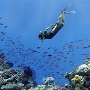 Lagoons & Reefs of New Caledonia, France