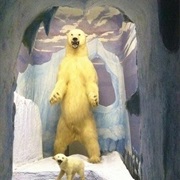 Call of the Wild Museum, Gaylord, MI