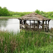 Padurea Domneasca Park, Moldova
