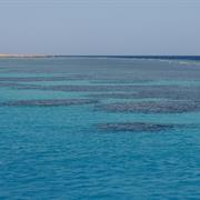 The Red Sea
