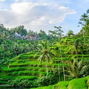 Ubud, Bali
