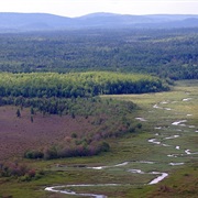 Sunkhaze Meadows National Wildlife Refuge