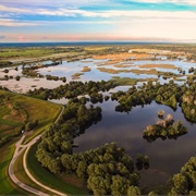 Kopački Rit Nature Park
