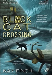 Black Cat Crossing (Kay Finch)