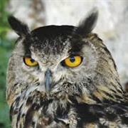 Parc Naturel Regional Du Luberon, France