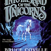 Into the Land of the Unicorns