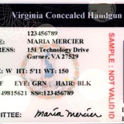 Concealed Weapon's License