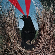 Spotlight Kid-Ten Thousand Hours