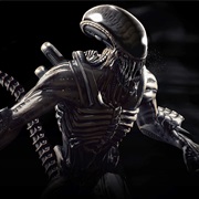 THE XENOMORPHS