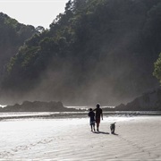 Colombia's Pacific Coast