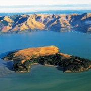 Quail Island