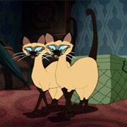 The Siamese Cat Song