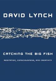 Catching the Big Fish (By David Lynch)