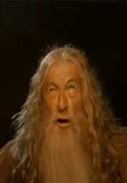 You Shall Not Pass: The Fellowship of the Ring (2001)